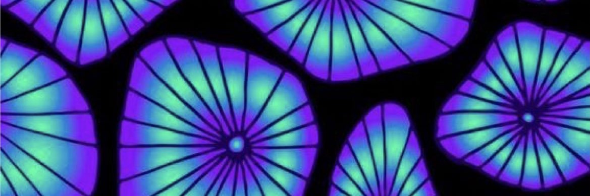 oliviaaaw123's profile banner image