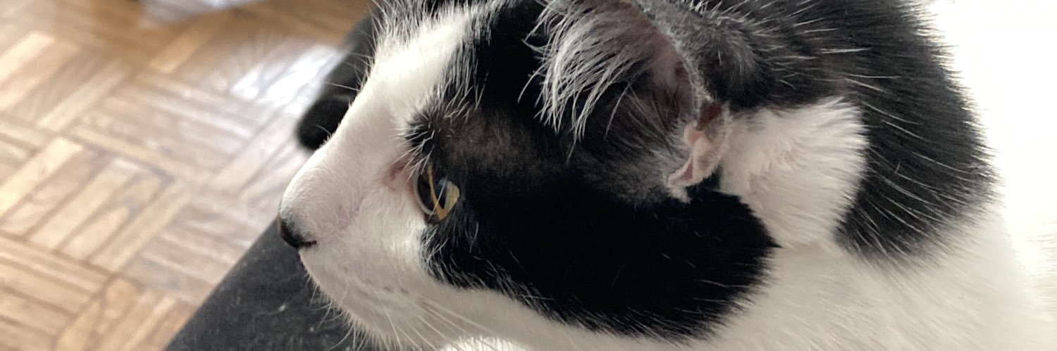 Skykru_'s profile banner image
