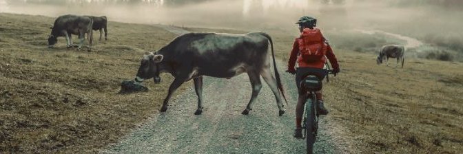 EBikeTest's profile banner image