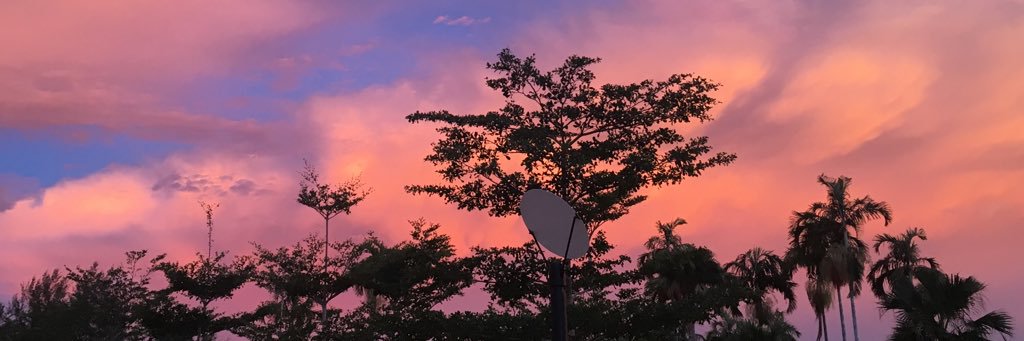 alynnaser's profile banner image