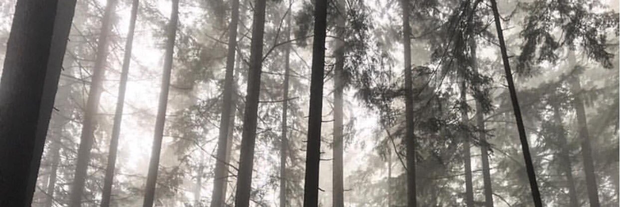 emmerick's profile banner image