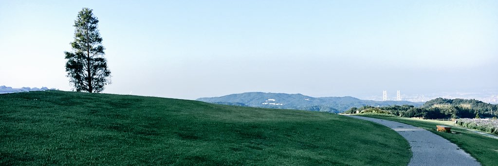 mgm4519's profile banner image