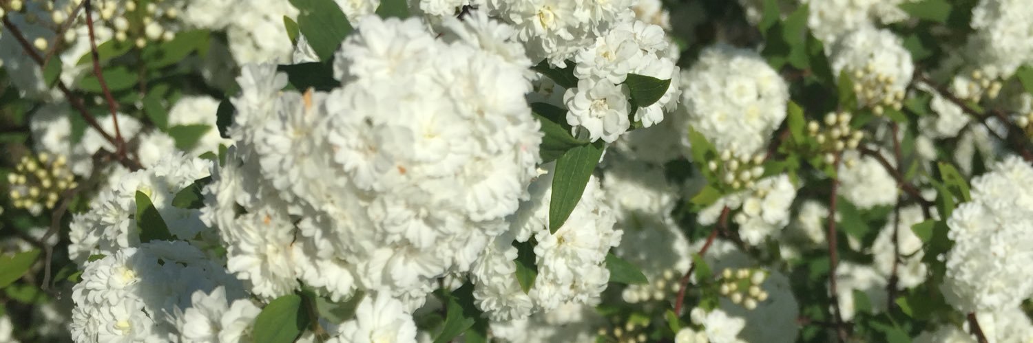 chrisynichole's profile banner image