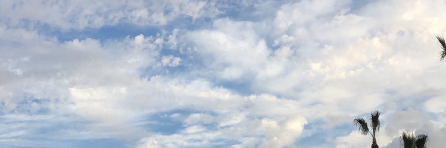 leslie_m99's profile banner image