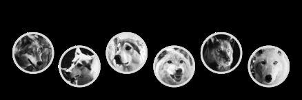Almalawiy90's profile banner image
