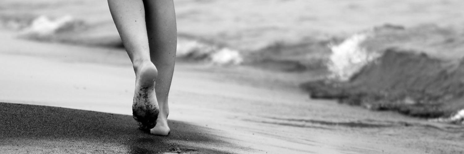 RachelHotta's profile banner image