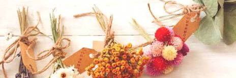 knn24_11's profile banner image