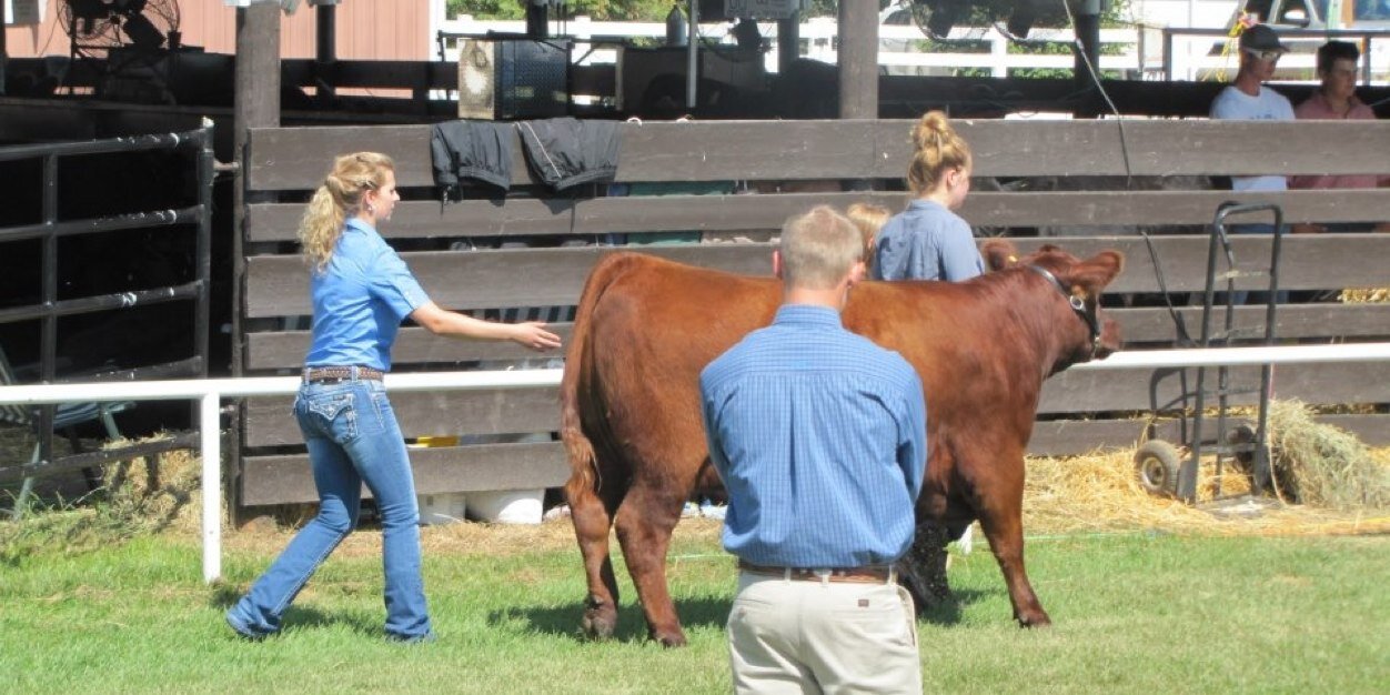 Travis Hunter banner