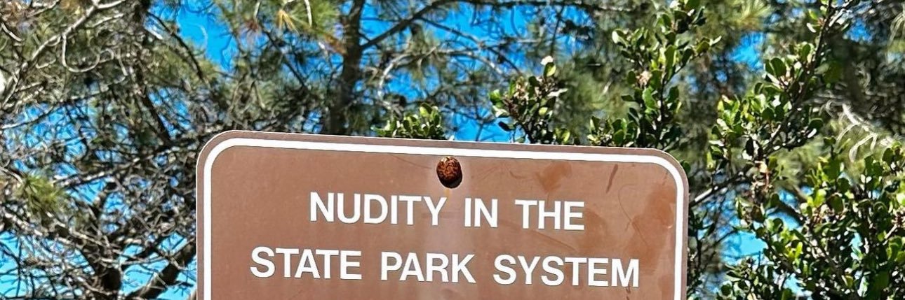 mentalthots's profile banner image