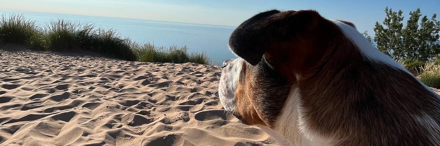 meier_mariah's profile banner image
