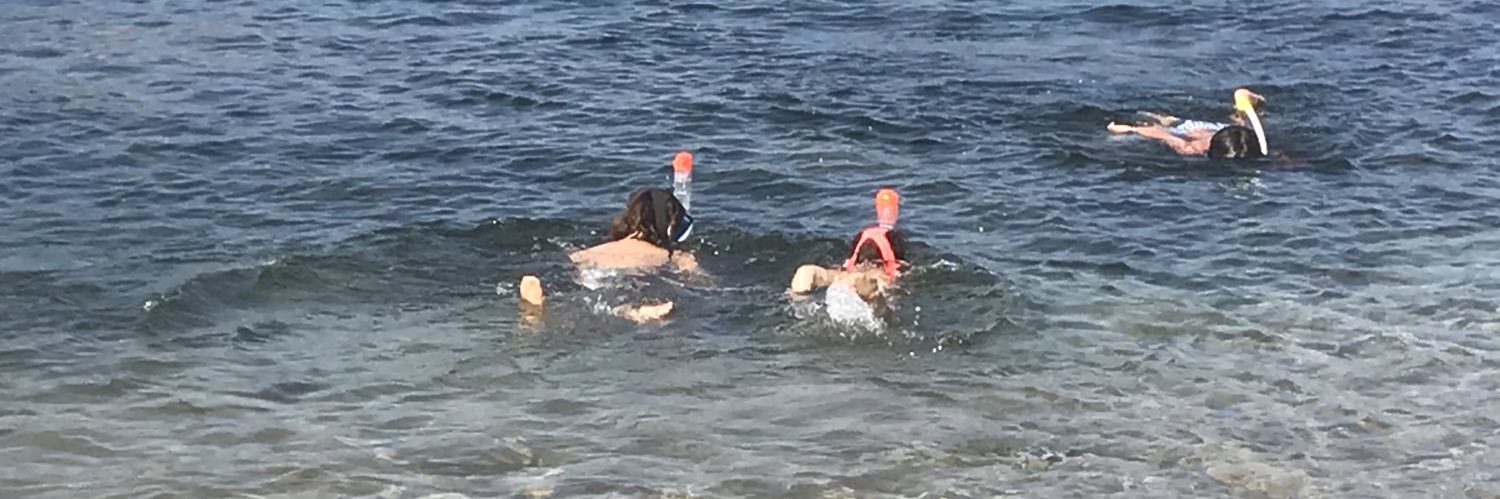 sergi taboada banner