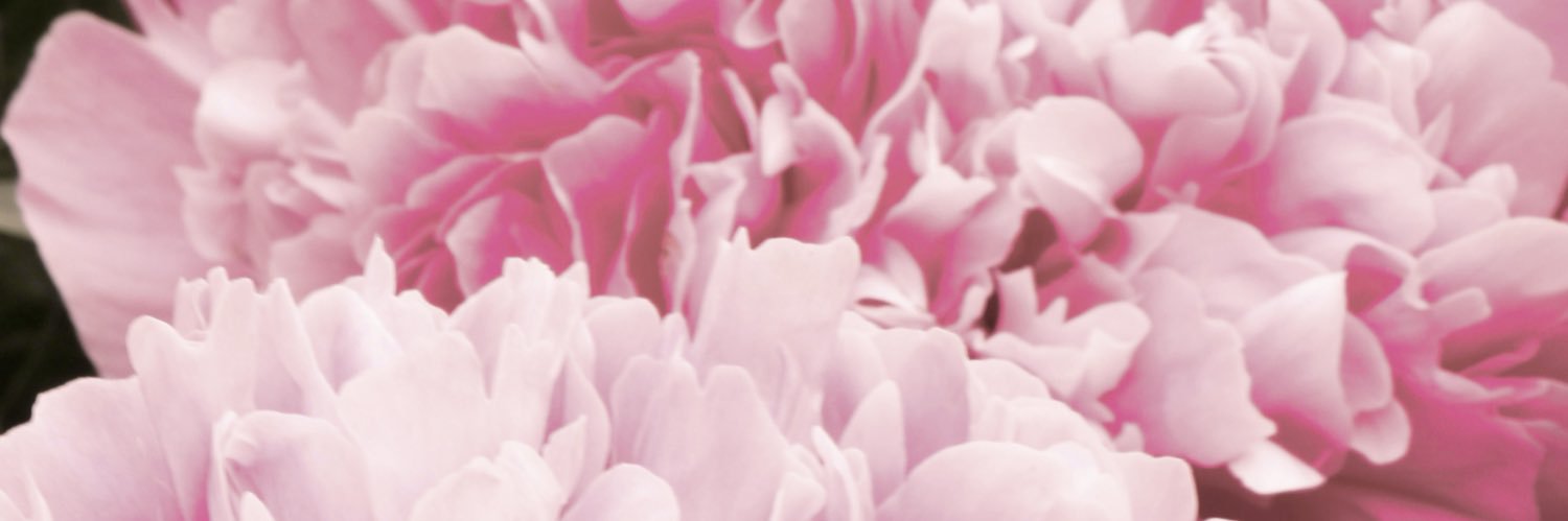 Anacoronelc's profile banner image