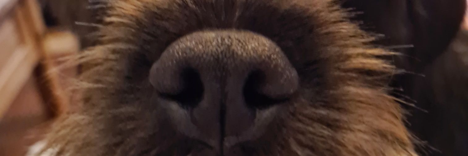 zwheeler26's profile banner image