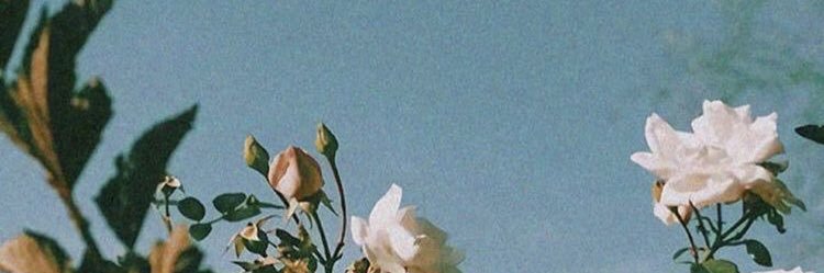 jackie_caves's profile banner image