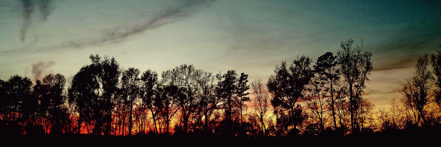 ejejgeorge's profile banner image