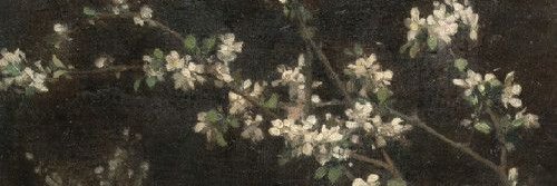 avacato22's profile banner image