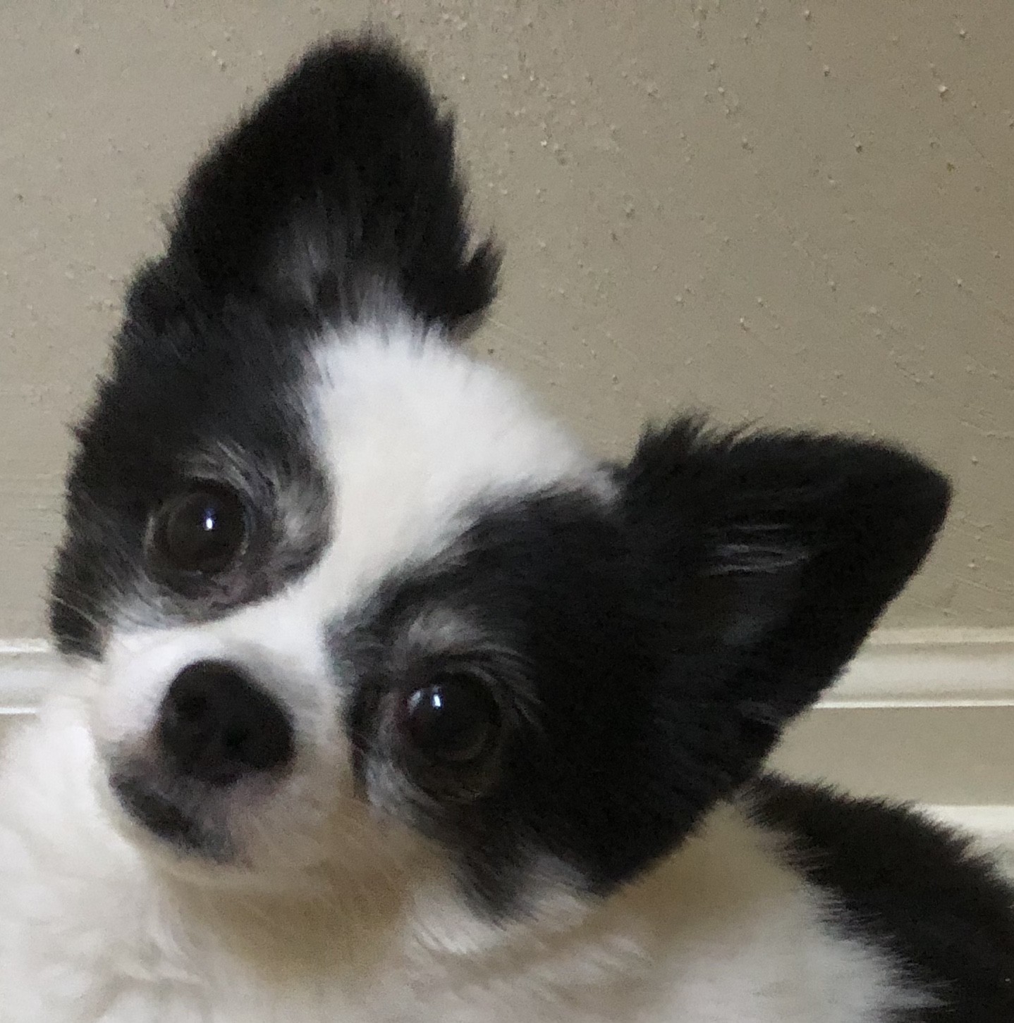 Jonathan Bowling banner