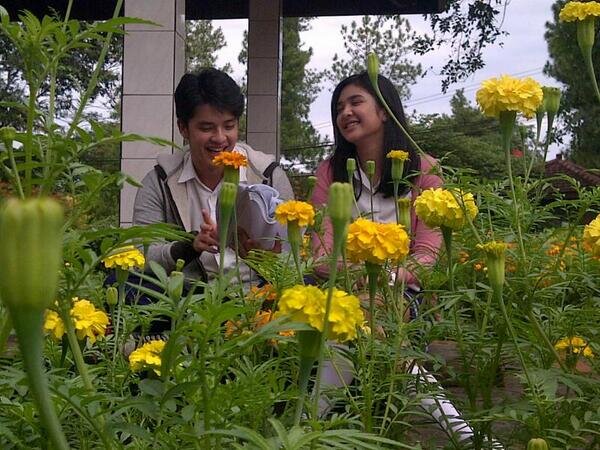 MorganMikha's profile banner image