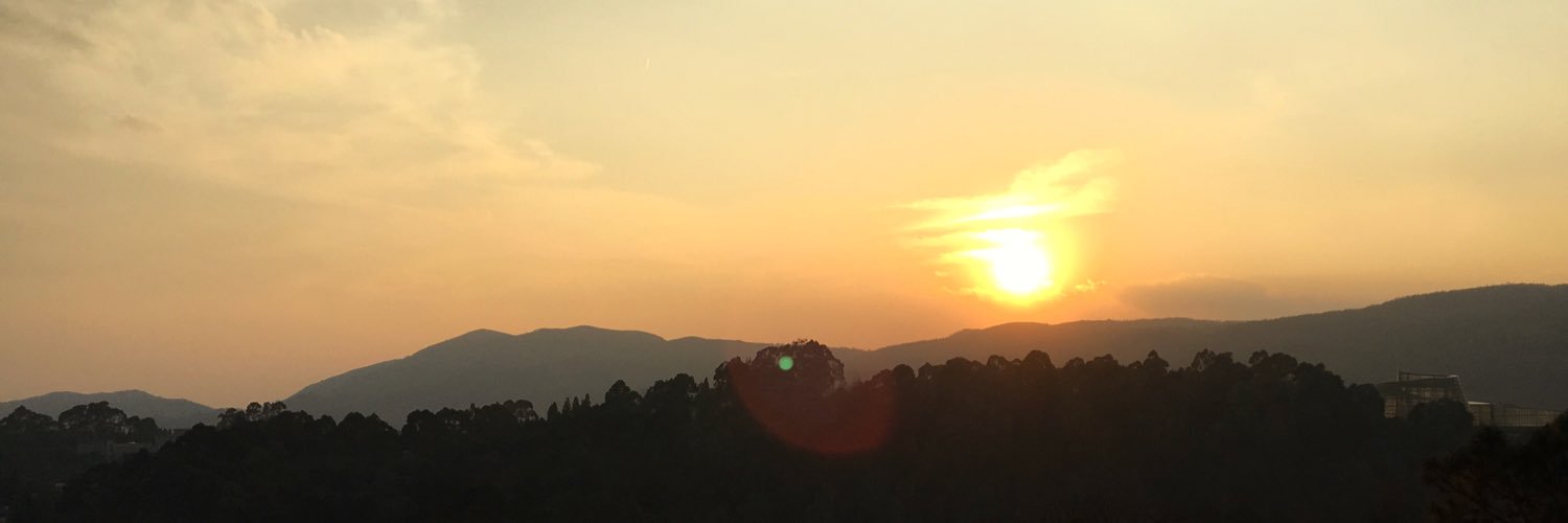 xiaohei_spring banner