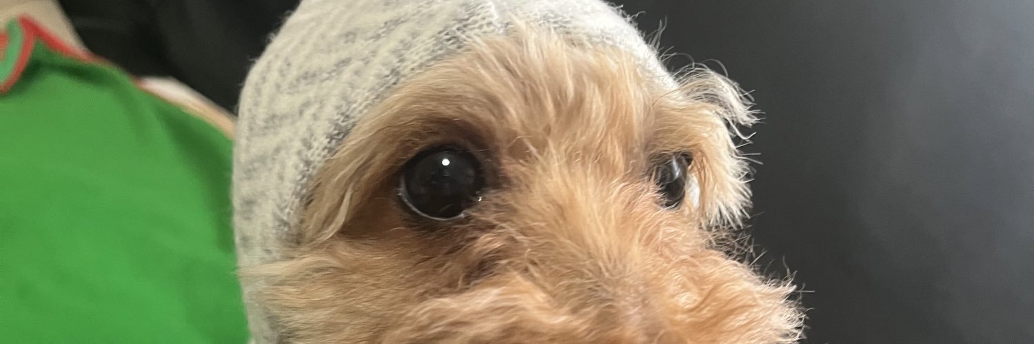 0874little's profile banner image