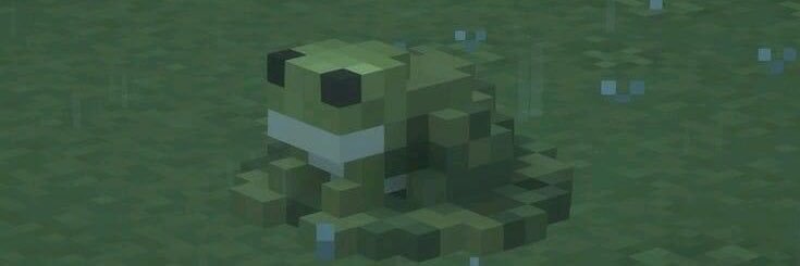 shesthatlizard's profile banner image