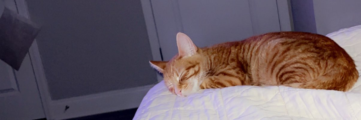 calebbwilsonn's profile banner image