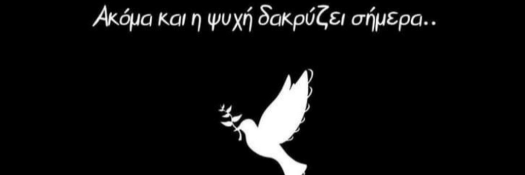 DimitraPapa6's profile banner image
