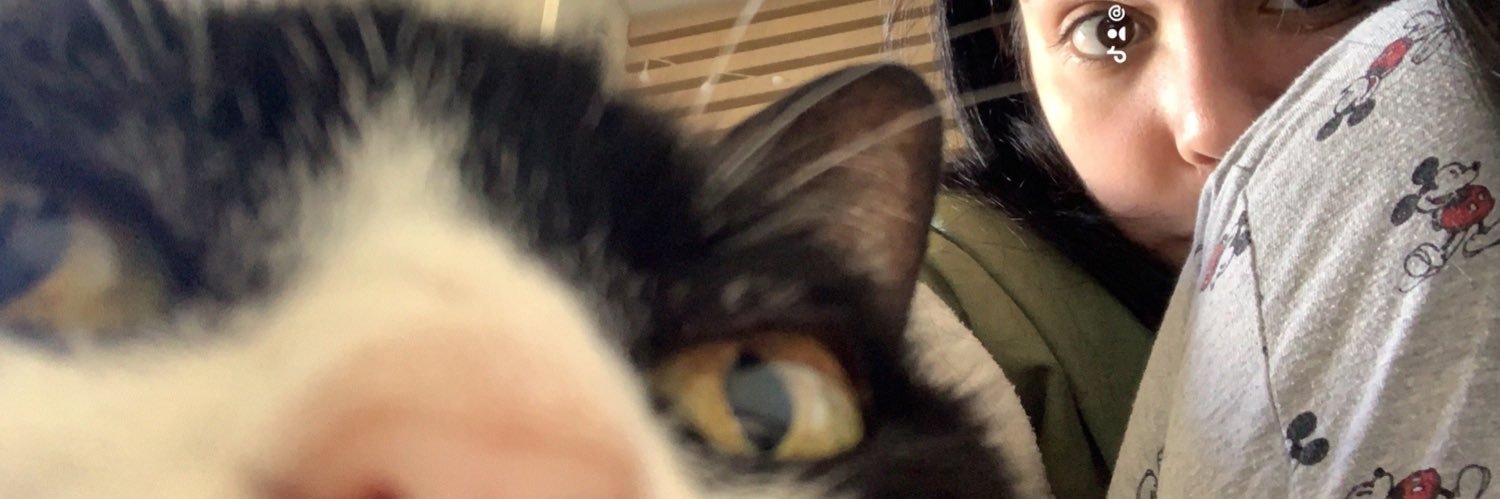 sofipicolli's profile banner image