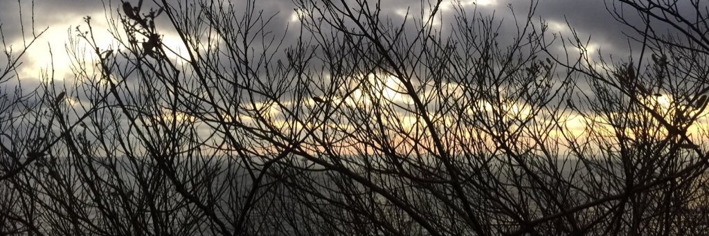 _cinema_thought's profile banner image