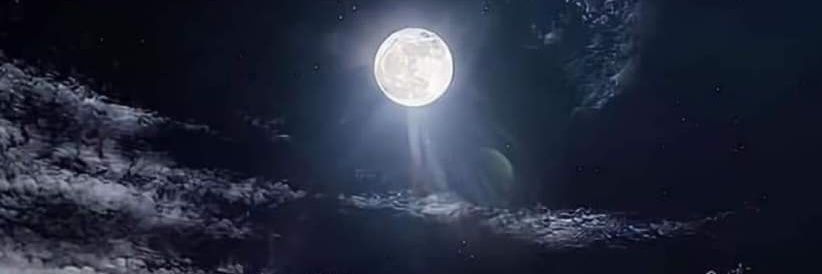 yoooadel's profile banner image
