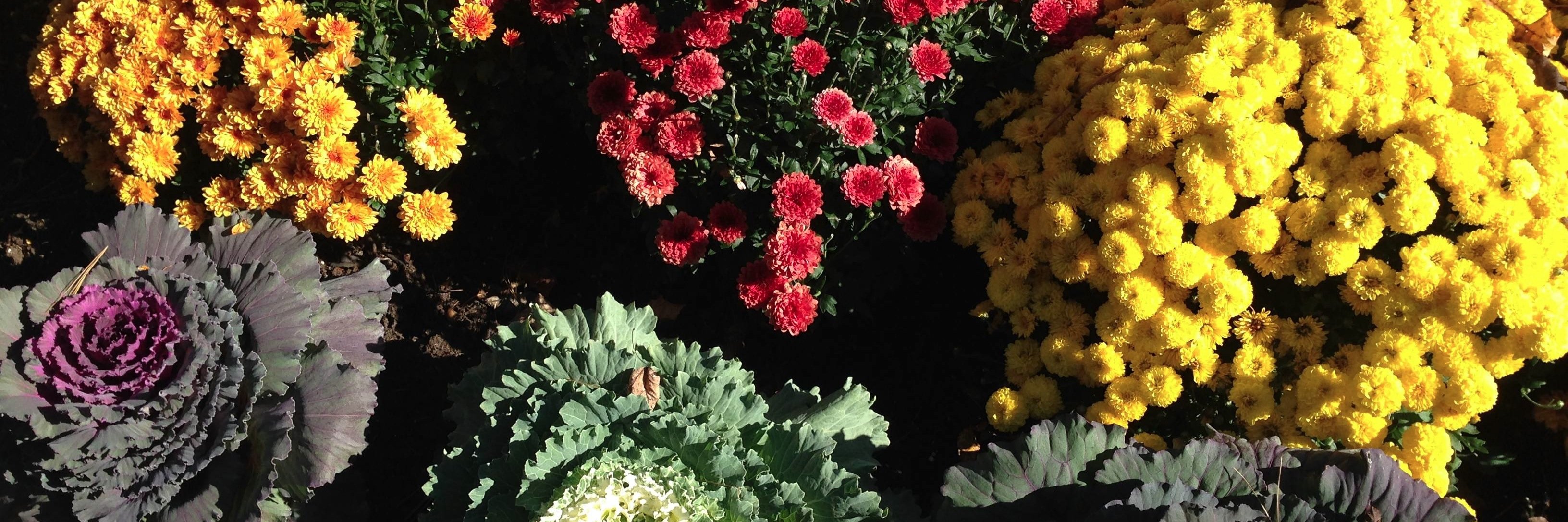 CoachMaureen's profile banner image