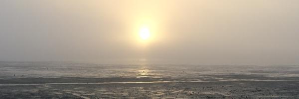 d_parr Profile Banner