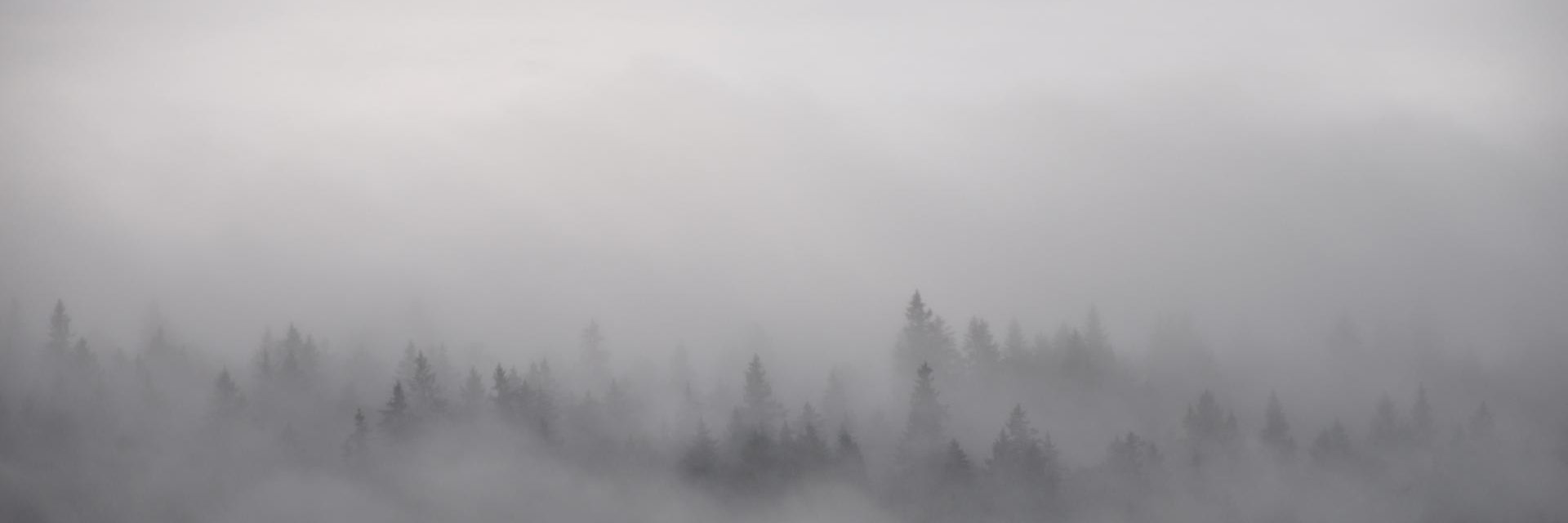 karyanayandi's profile banner image