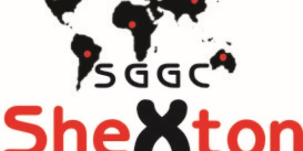 shextongroup's profile banner image