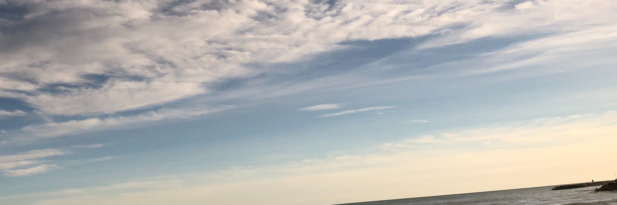 Alejandro Tomasello W banner