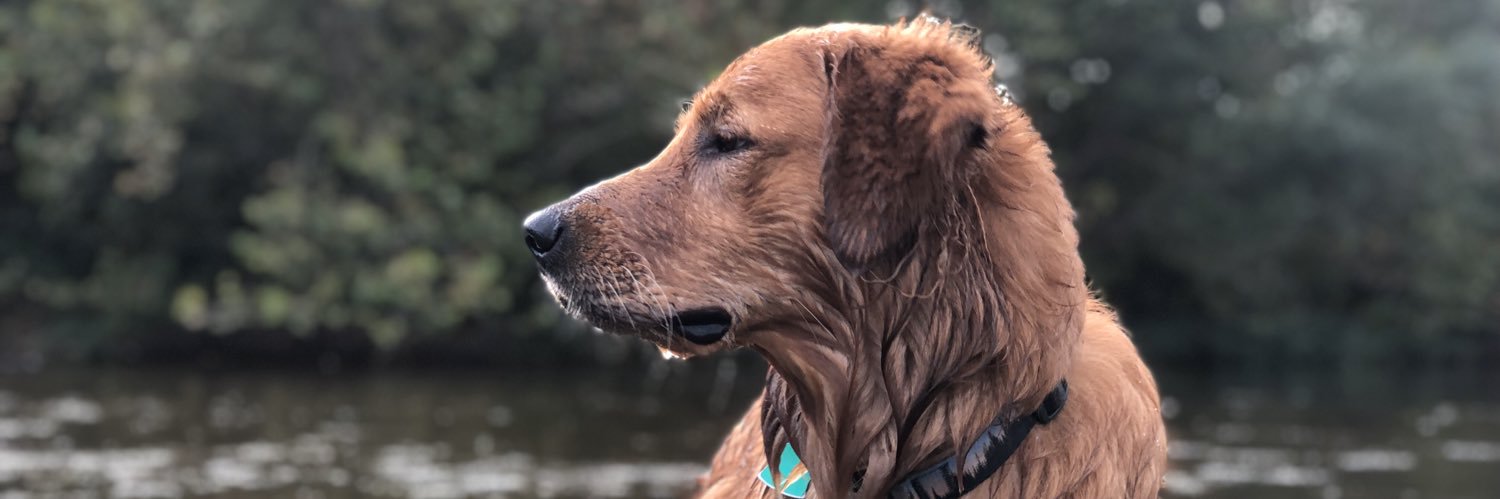 allisoncmunn's profile banner image