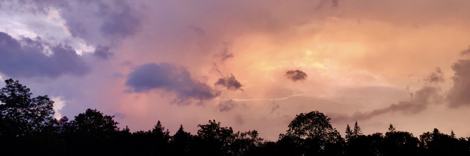 rrachelwilson's profile banner image