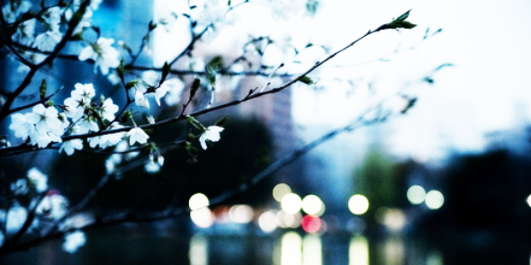isanage's profile banner image