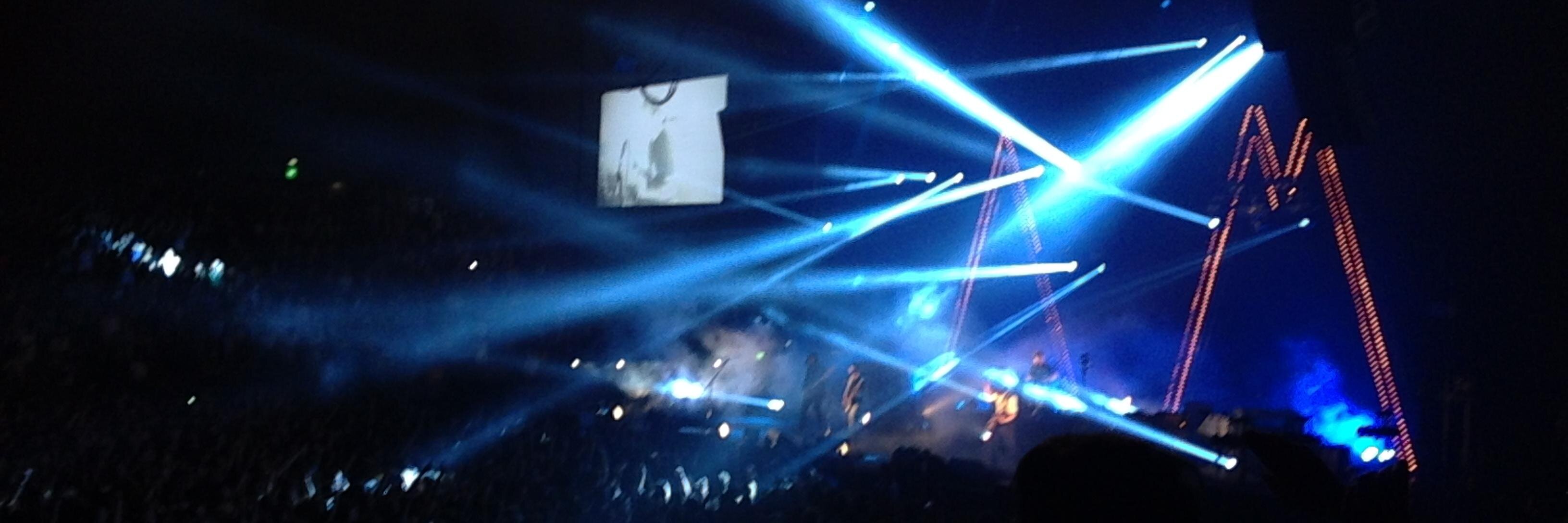 Judith Whelan banner