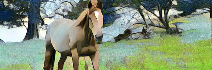 nessazie's profile banner image