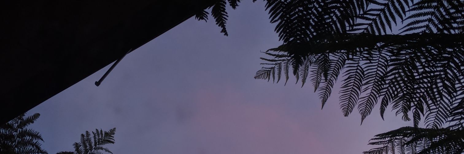 My_DSi's profile banner image