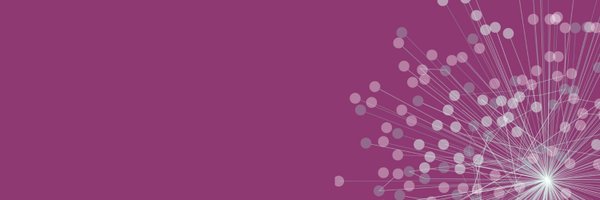 sotonWSI Profile Banner