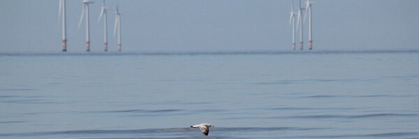 aduesterhus Profile Banner