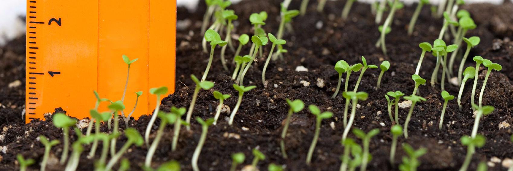 GrowInSpace's profile banner image