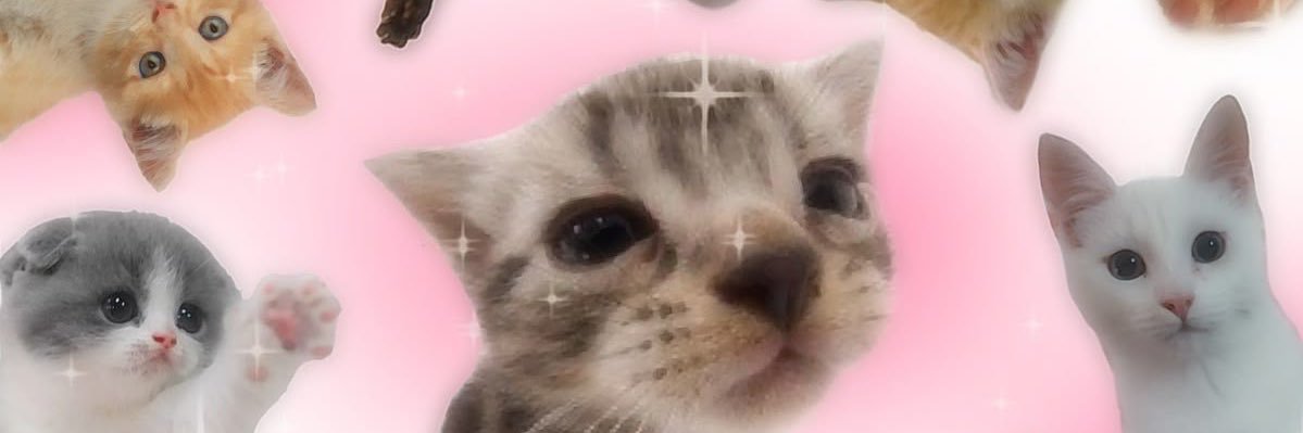 Zelestial ✨ banner