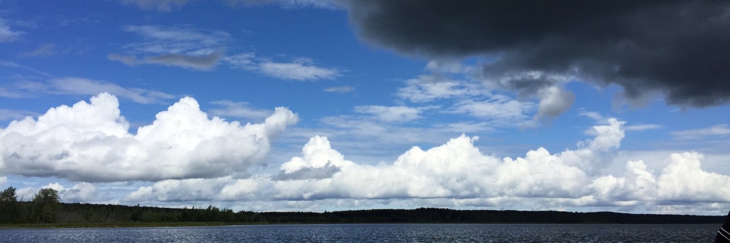 ltddrozdowski's profile banner image