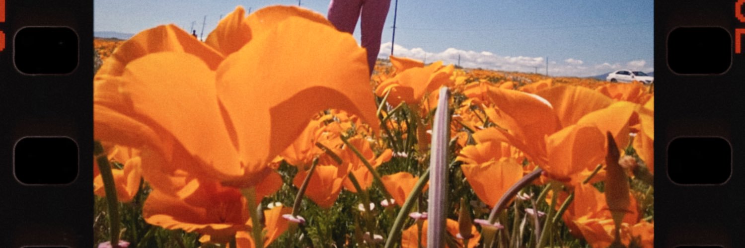 tylerwstokes's profile banner image