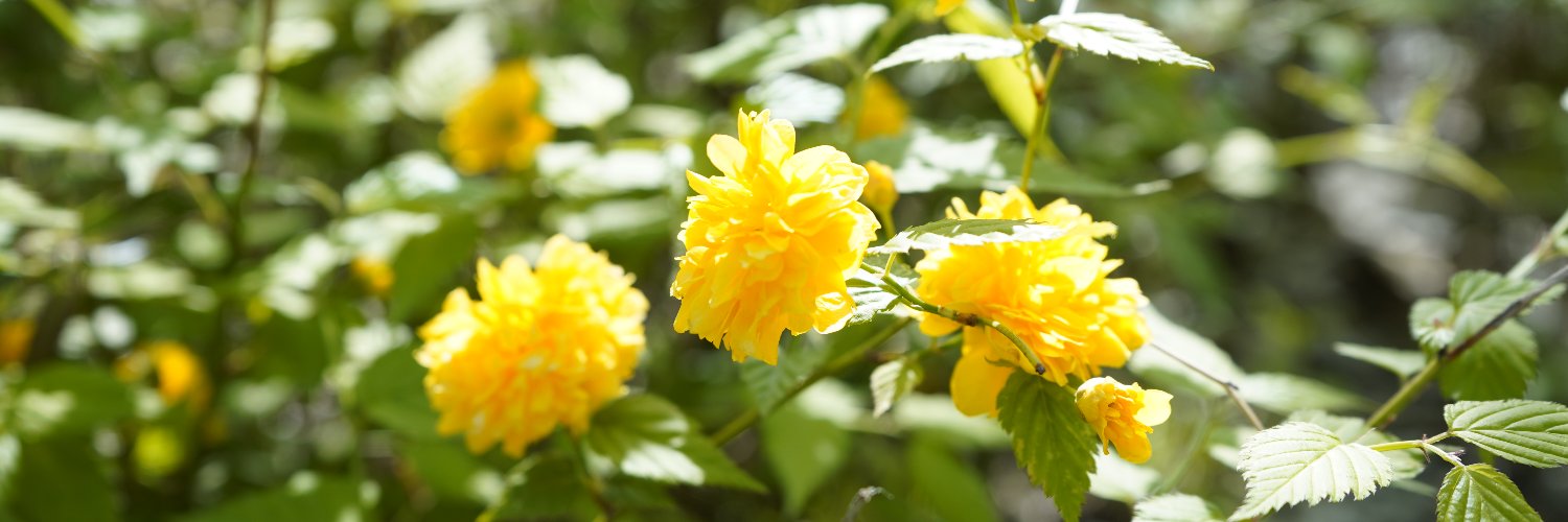 요한/안리 banner