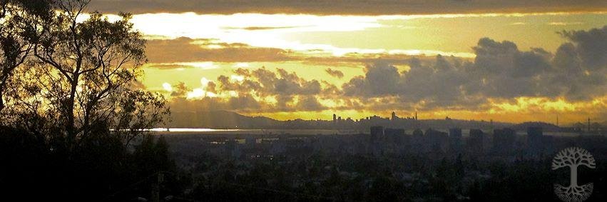 Witkow707's profile banner image