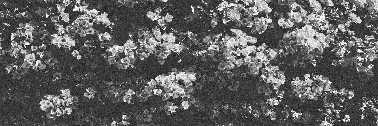 thedeli's profile banner image